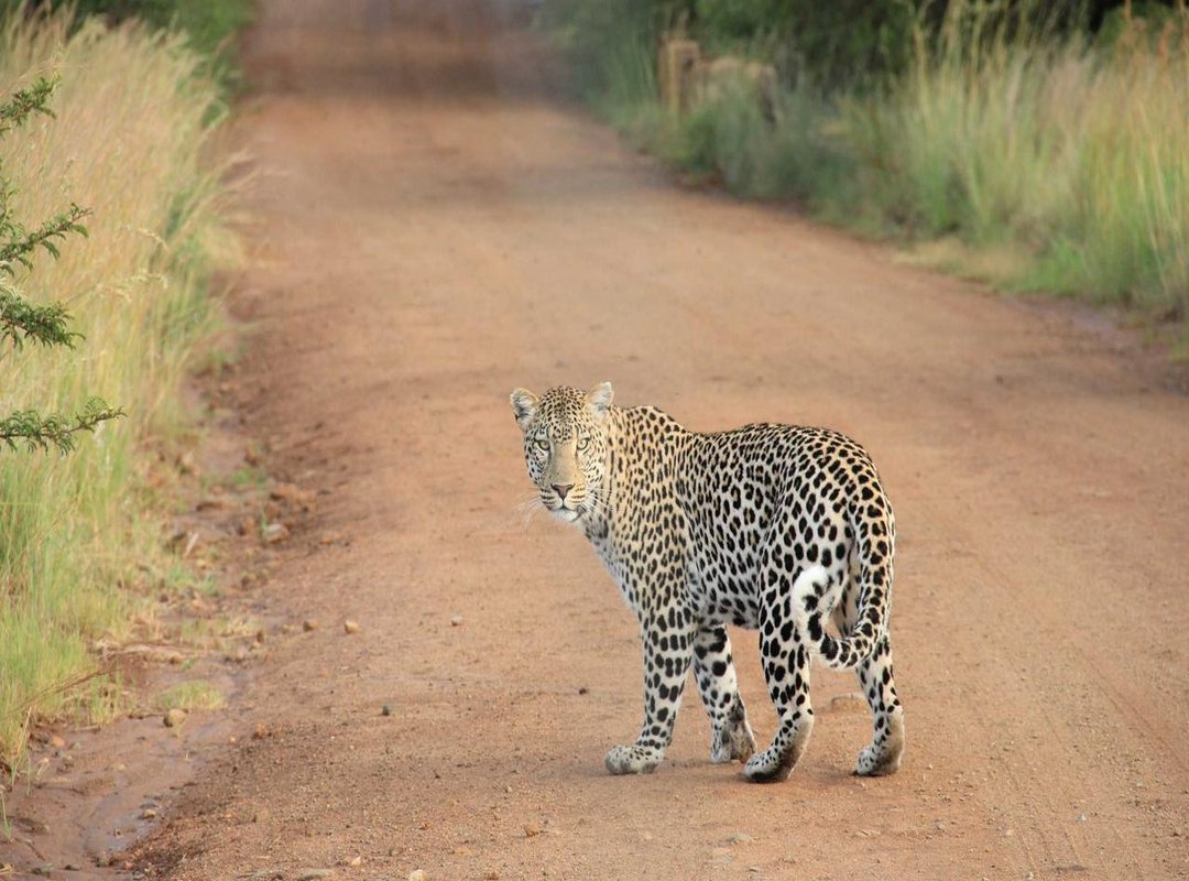 Beyond the Pitch: Building a Social Media Empire