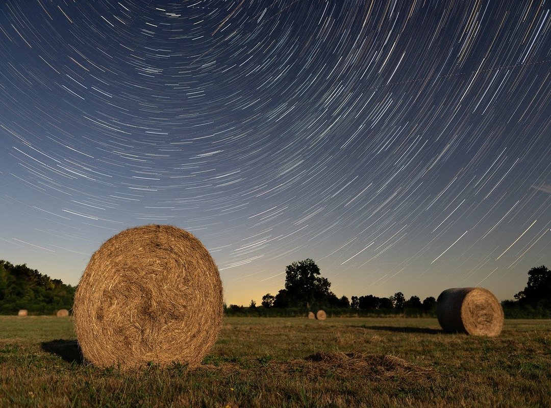 Best Practices for Using Astro Bot V5