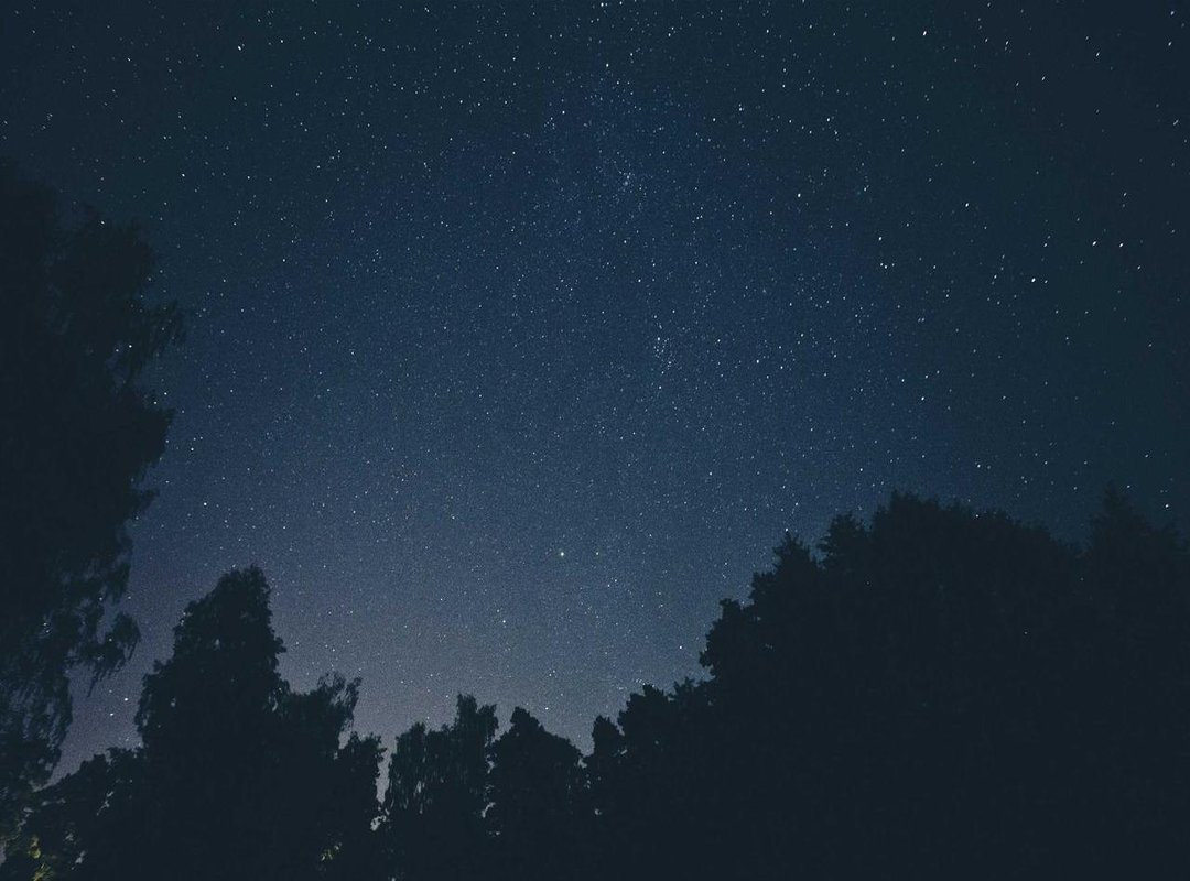 Factors That Determine Penile Size: Genetics, Measurement, and Myths