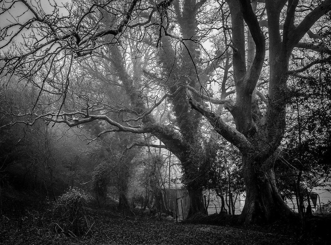 Decoding BJJ Slang: A Guide for the Curious