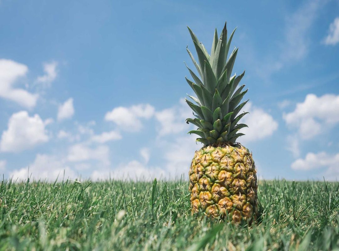 The Psychology of 'Hump Day': Why We Need a Mid-Week Laugh