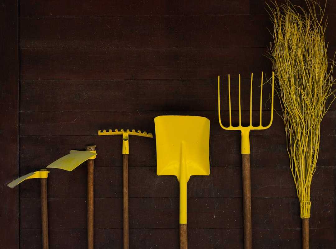 estate planning guide