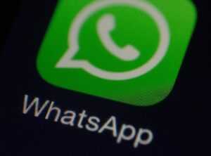 gracioso zorionak whatsapp