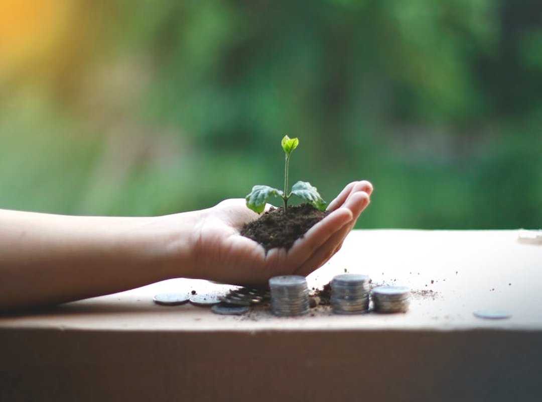 green finance investment