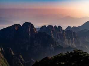 investigation 220m china