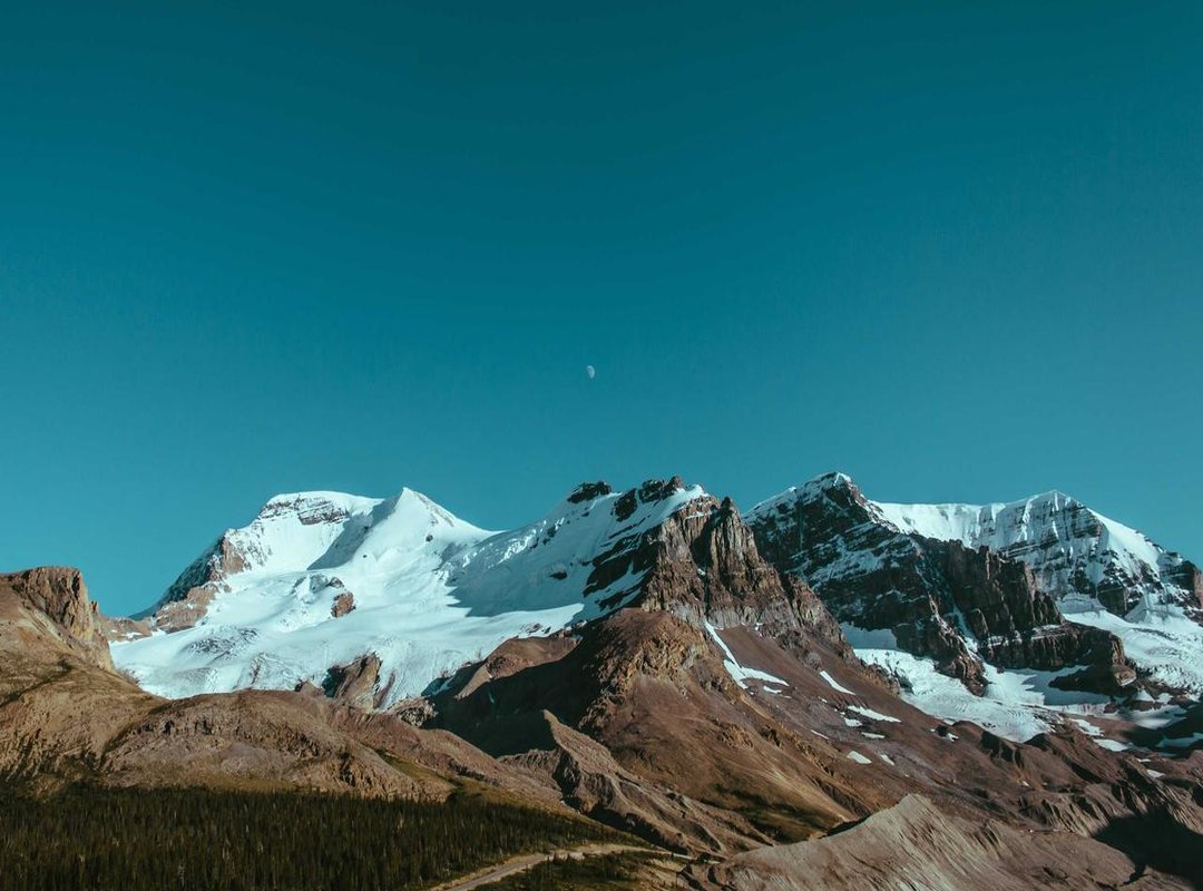 The Fight for Dignity: The Catsouras Family's Legal Battle