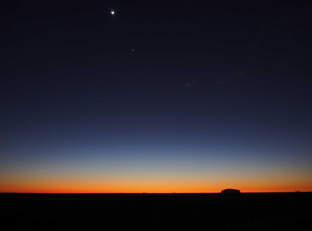 The Psychology of a Meme: Why We Can't Look Away