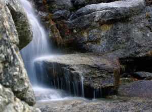 the iron claw torrent