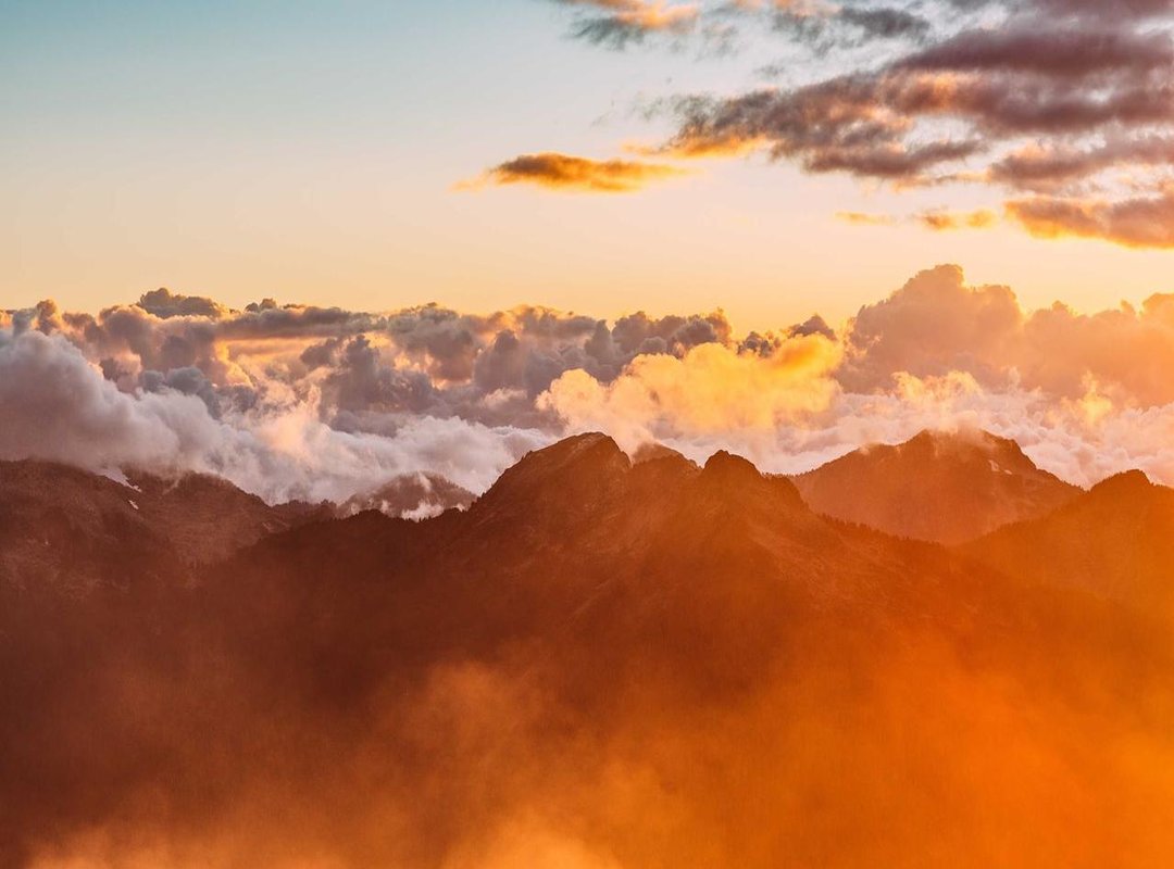 Putting It Into Practice: Real-World Examples